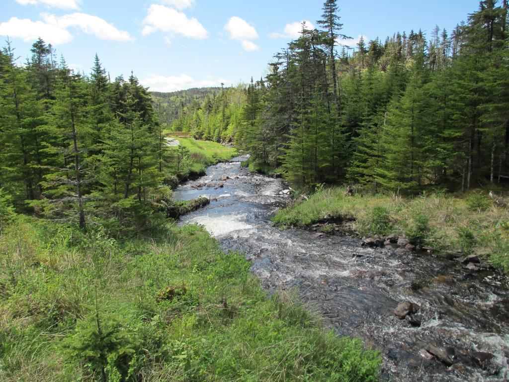 The Wilds At Salmonier River Holyrood Extérieur photo